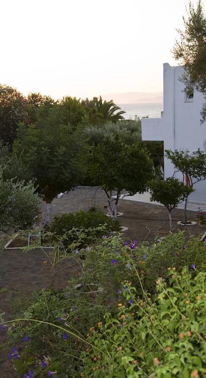 Creta Star Aparthotel Agios Nikolaos  Bagian luar foto